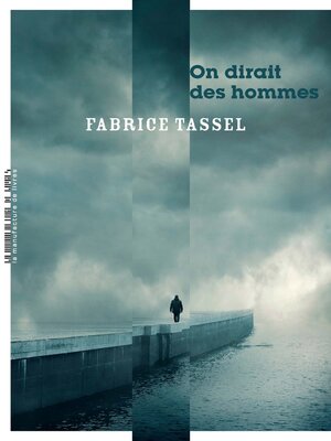 cover image of On dirait des hommes